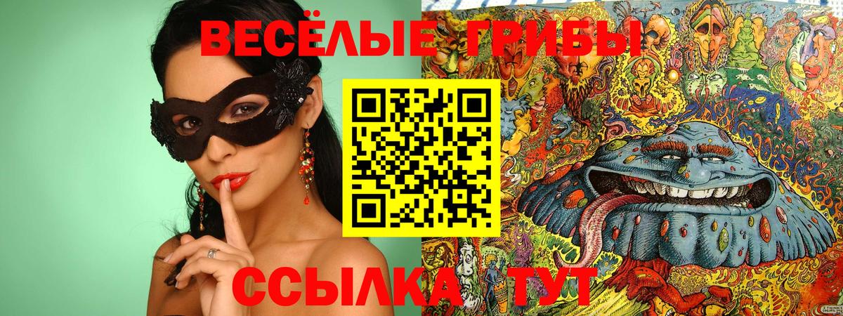 Осинники  наркота  Вход с VPN  Галлюциногенные грибы прущие грибы 
